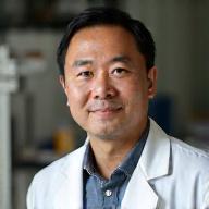 Conservation specialist and artifact preservation expert